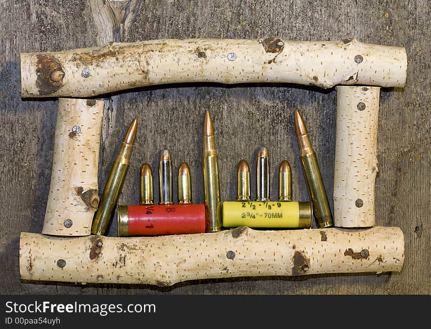 Variety of ammunition in a Frame. Variety of ammunition in a Frame