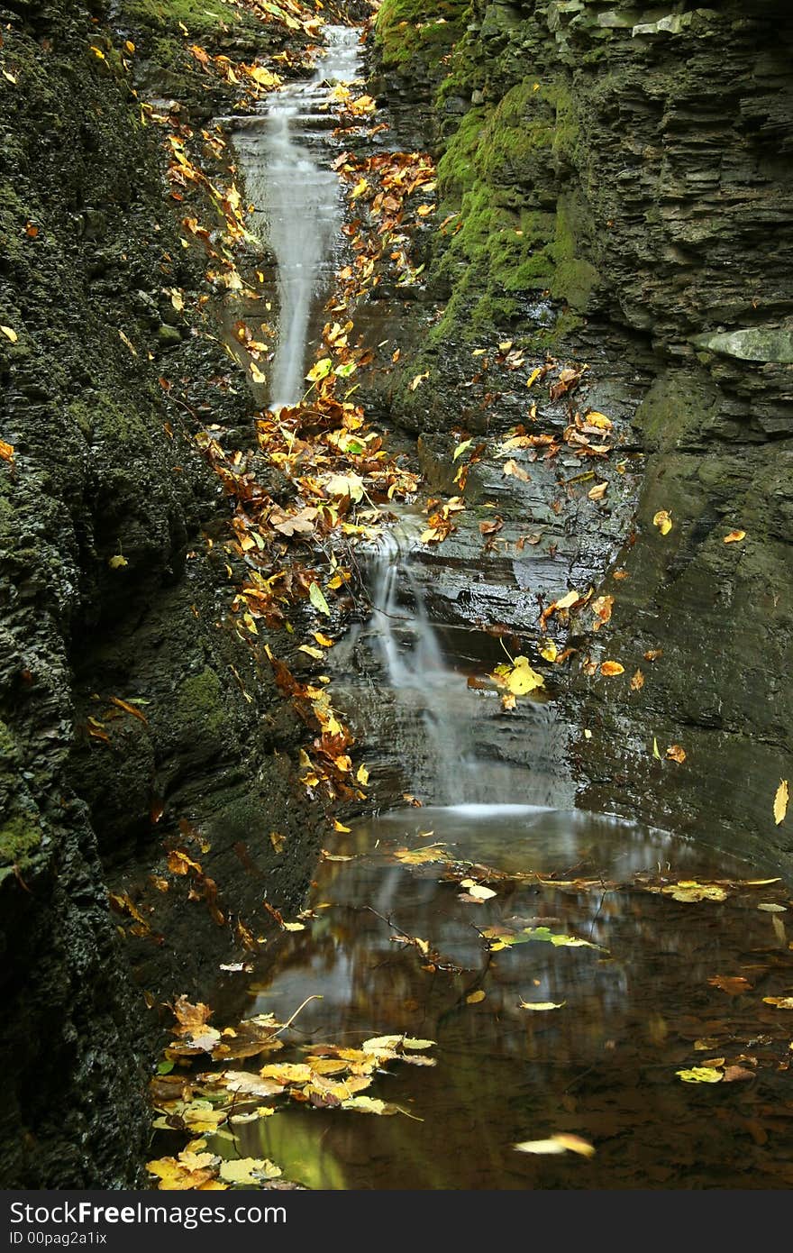 Falls in the autumn with yellow leaves on water. Falls in the autumn with yellow leaves on water