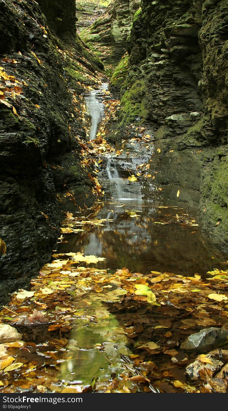 Falls in the autumn with yellow leaves on water. Falls in the autumn with yellow leaves on water