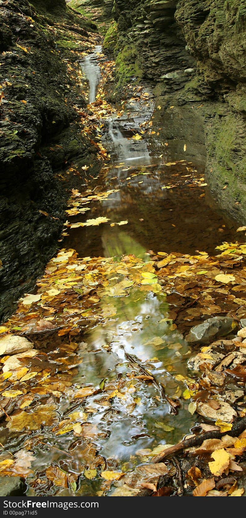 Falls in the autumn with yellow leaves on wate. Falls in the autumn with yellow leaves on wate