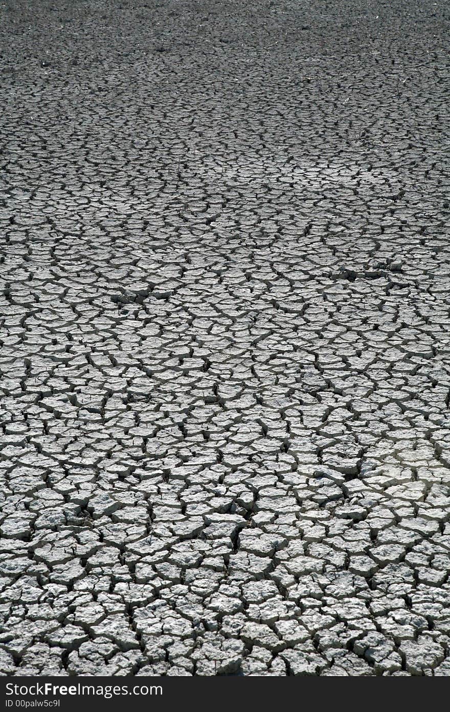 Arid white ground at do�ana national park in spain. Arid white ground at do�ana national park in spain