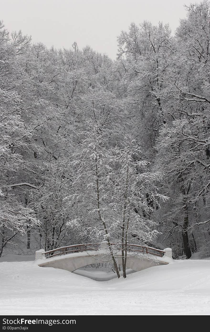 Winter landscape with the bridge, trees. All is covered by a snow 2. Winter landscape with the bridge, trees. All is covered by a snow 2