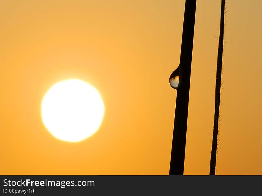 A drop of water on a long grass capturing an upside down image of the sun at sunrise. A drop of water on a long grass capturing an upside down image of the sun at sunrise