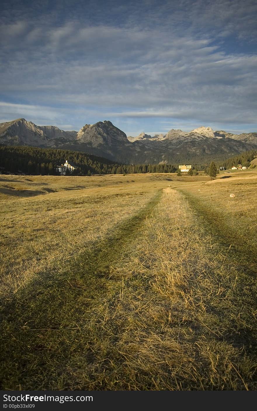 Road on the grass to the mountain