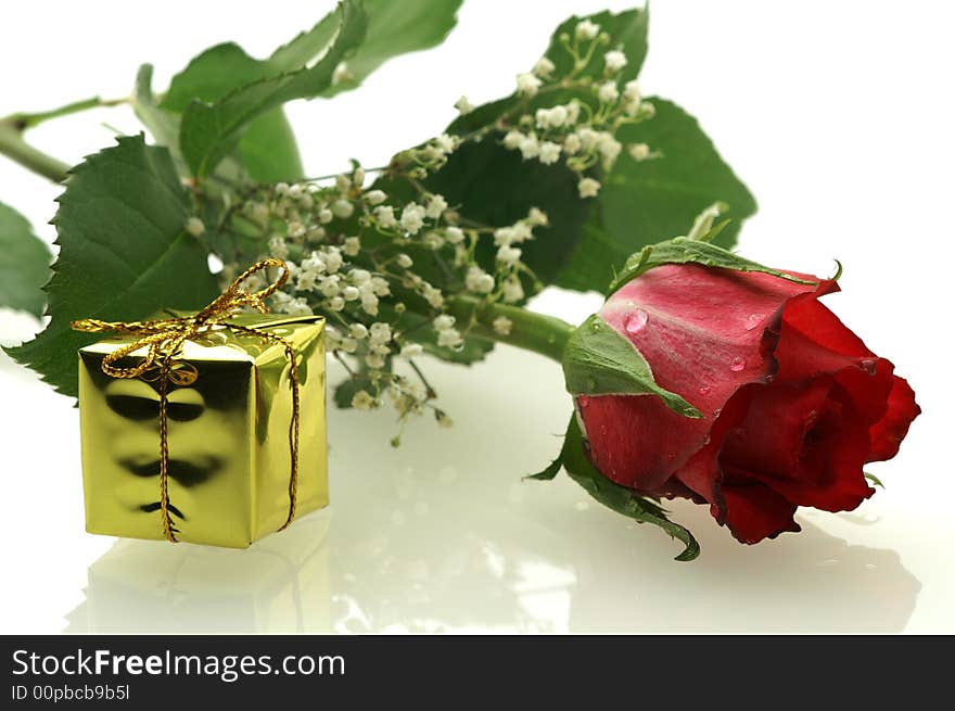 Nice red rose with a gift on white background