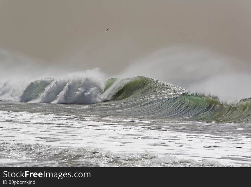 Wave crashing during Winter