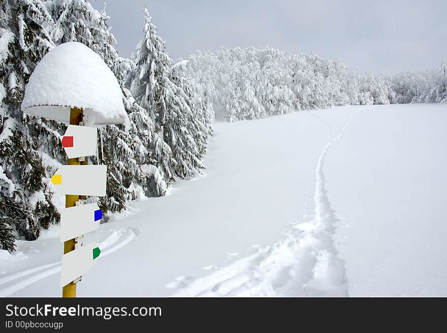 White winter landscape