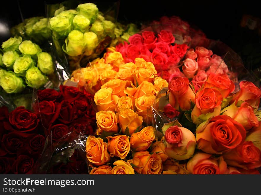 Bunches of roses in different colors. Bunches of roses in different colors