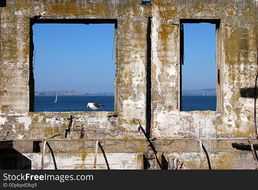 An old building outline with a bird standing in a window frame with blue ocean and sky in background. An old building outline with a bird standing in a window frame with blue ocean and sky in background.