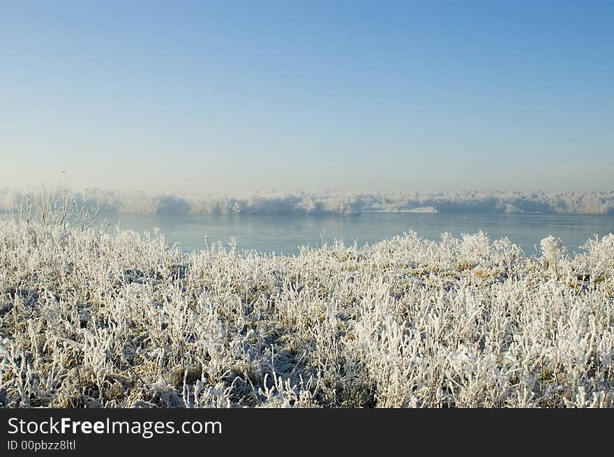 Winter landscape