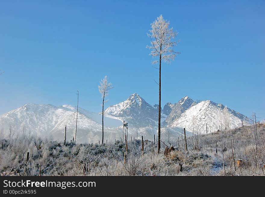 View on peaks of High Tatras in winter. View on peaks of High Tatras in winter