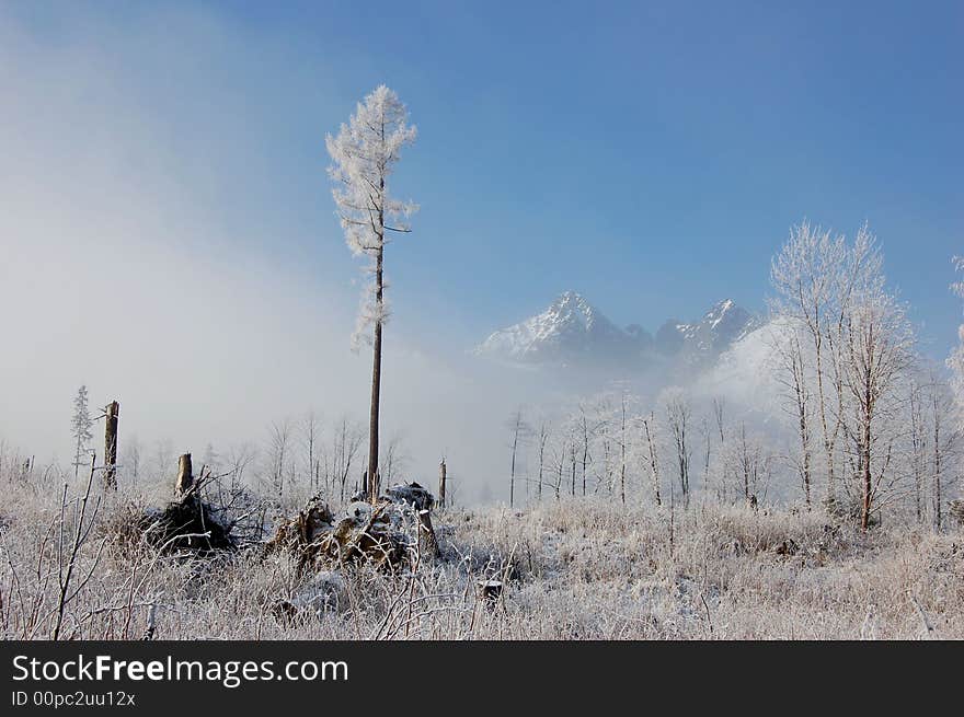 View on peaks of Vysoke Tatry mountains in a foggy winter day