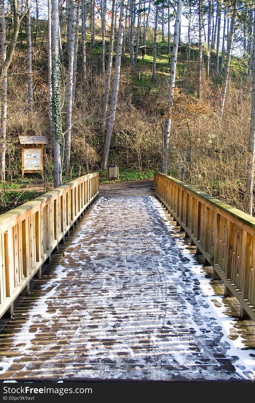 Wooden bridge in a park the frozen with snow. Wooden bridge in a park the frozen with snow.