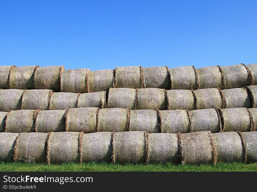 He is a left bale on the field after harvest. He is a left bale on the field after harvest.