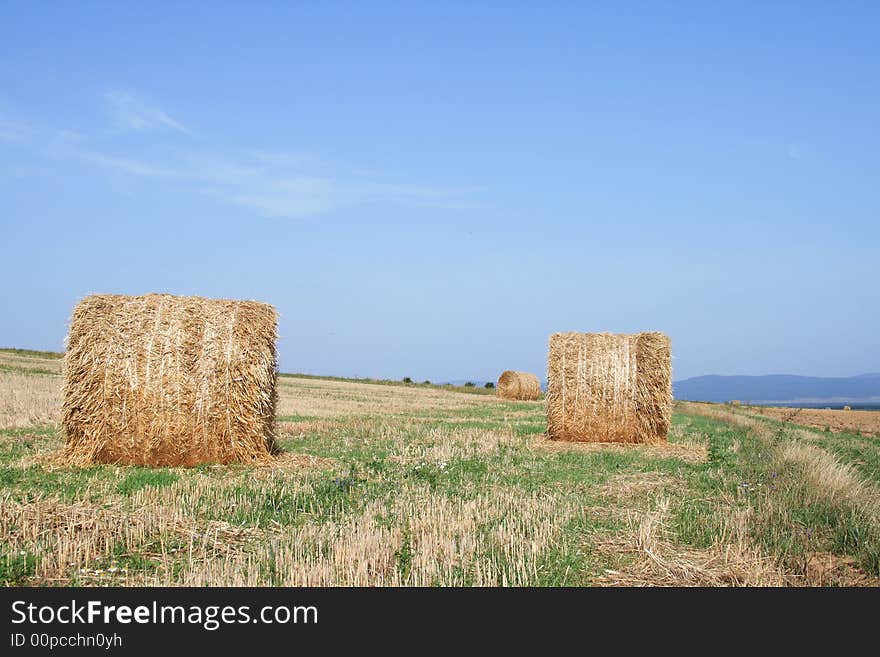 He is a left bale on the field after harvest. He is a left bale on the field after harvest.