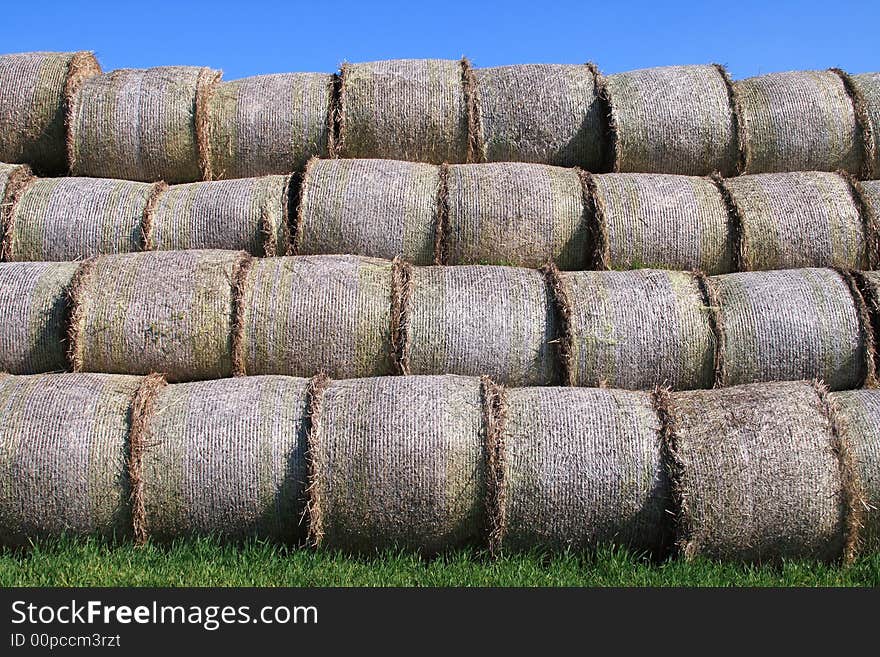 He is a left bale on the field after harvest. He is a left bale on the field after harvest.