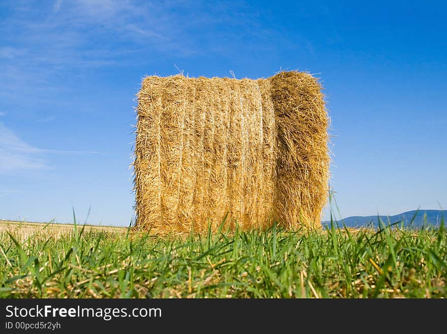 He is a left bale on the field after harvest. He is a left bale on the field after harvest.