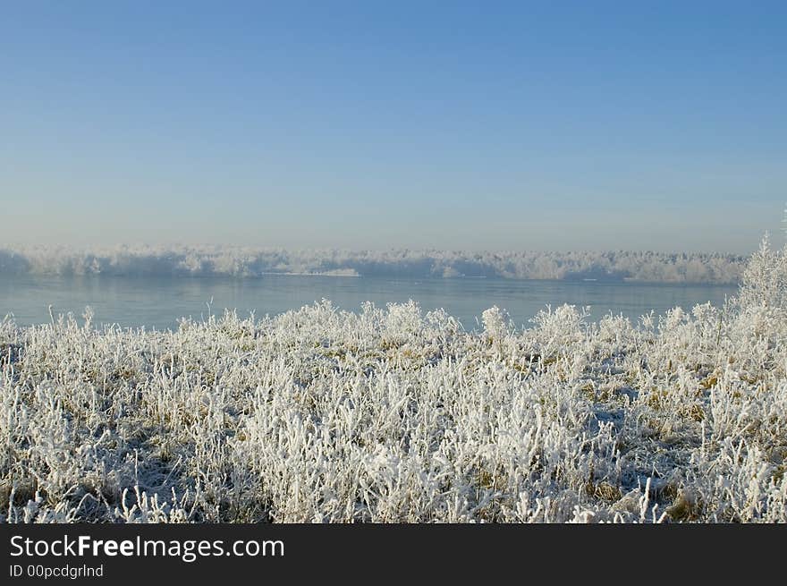 Winter landscape