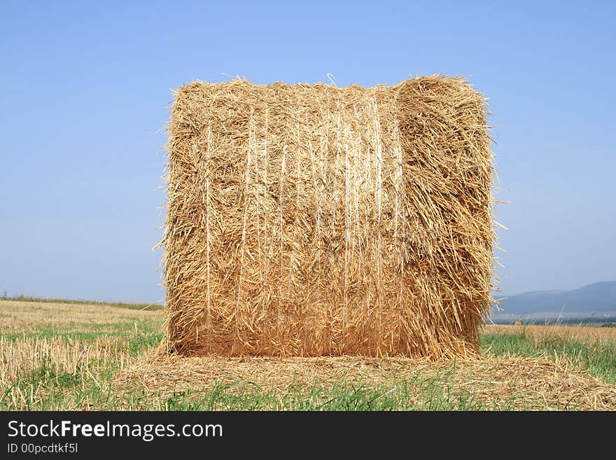 He is a left bale on the field after harvest. He is a left bale on the field after harvest.