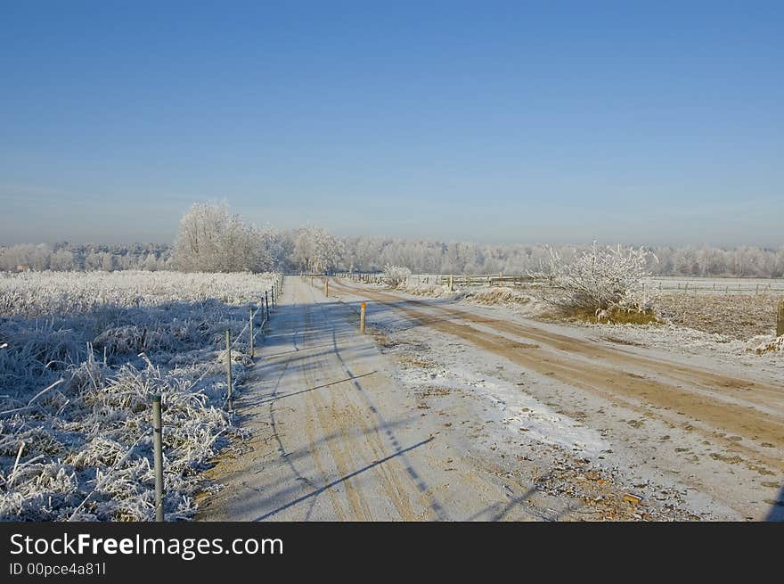 Snowy winterland with blue sky. Snowy winterland with blue sky