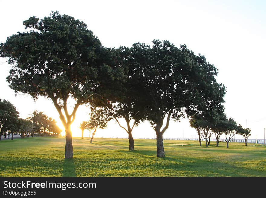 Park At Sunset