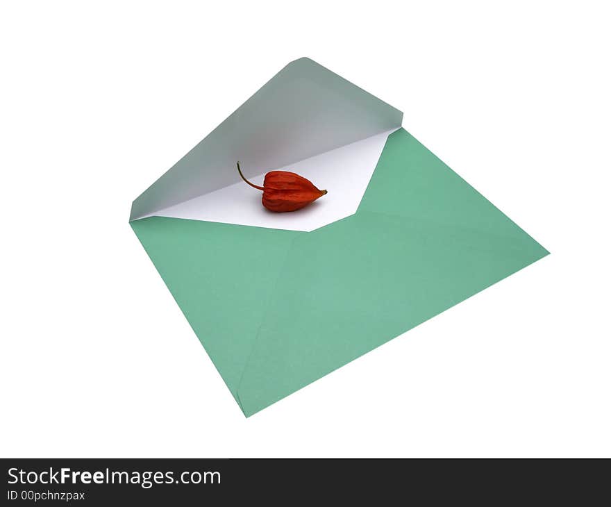 Envelope and physalis