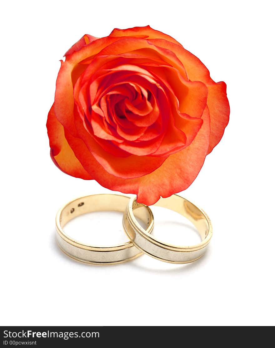 Wedding rings and a rose