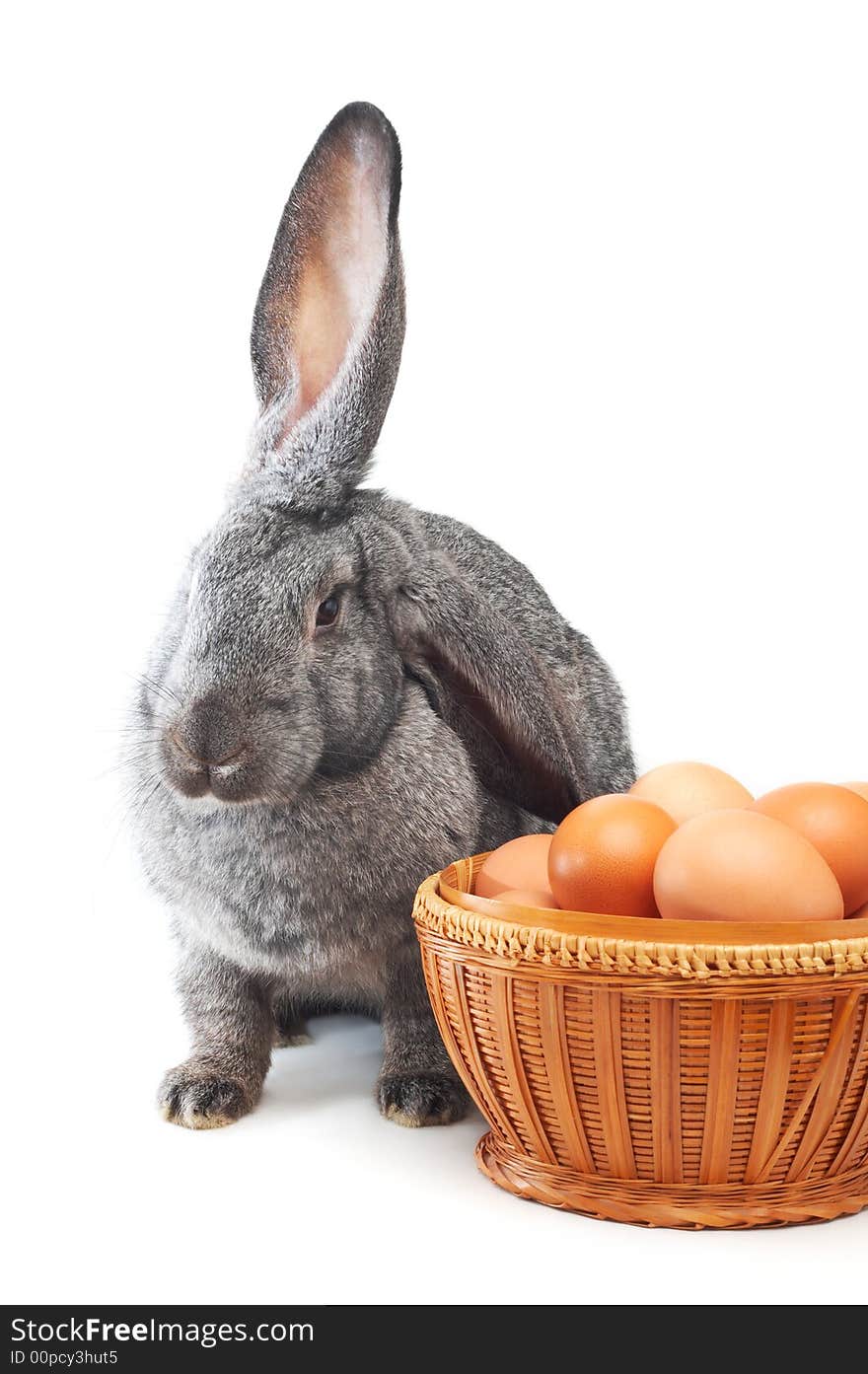 Rabbit and wicker basket on white. Rabbit and wicker basket on white