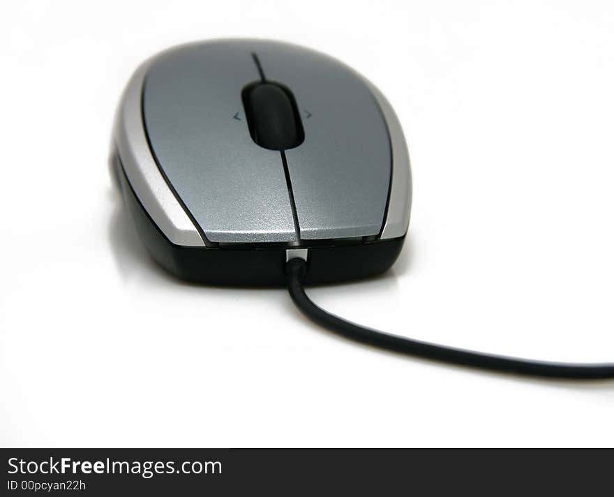 Computer mouse.