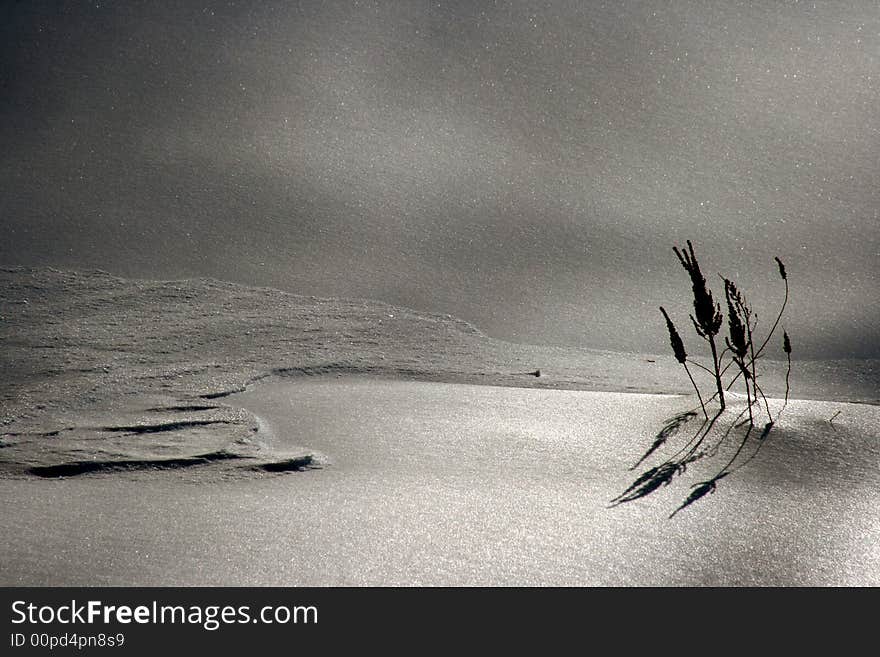 Serene scene of a snow drift