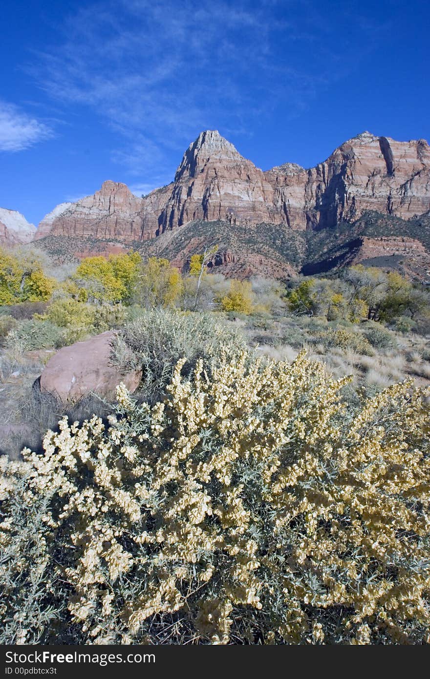 Landscape in Zion National Park, Utah. Landscape in Zion National Park, Utah.