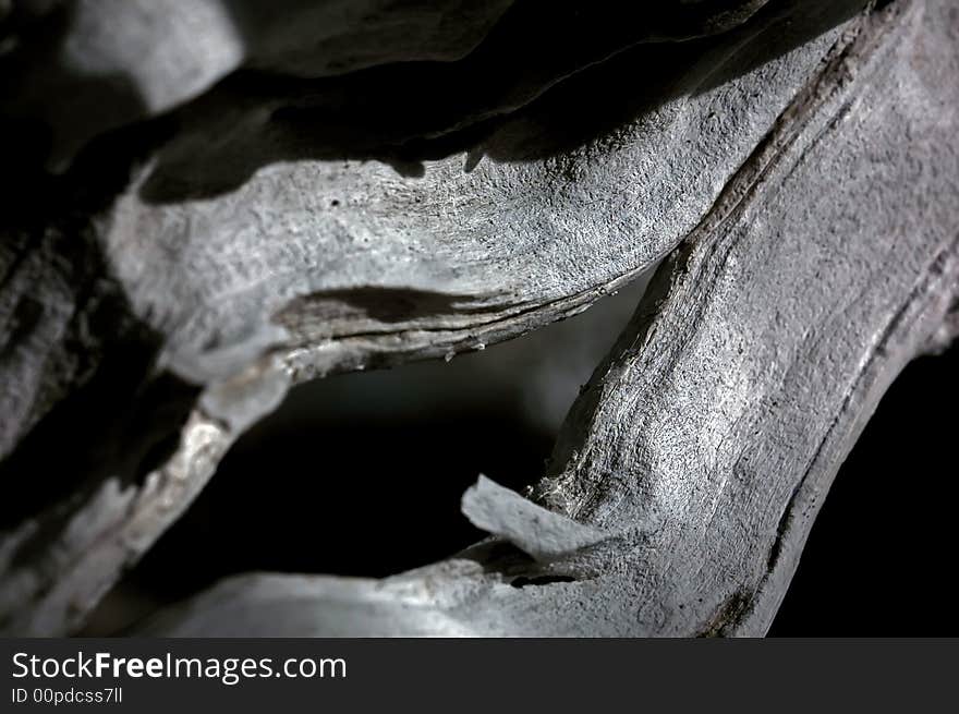 Infrared Photo â€“ Tree, Dried Wood And Rock