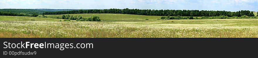 Panoramic photo of a meadow with a wood on a background