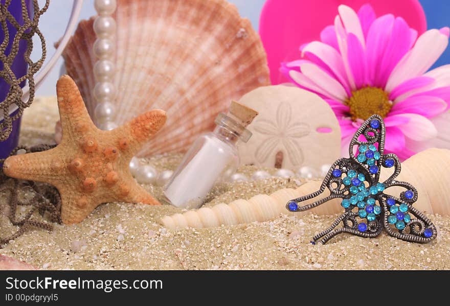 Still Life On Beach