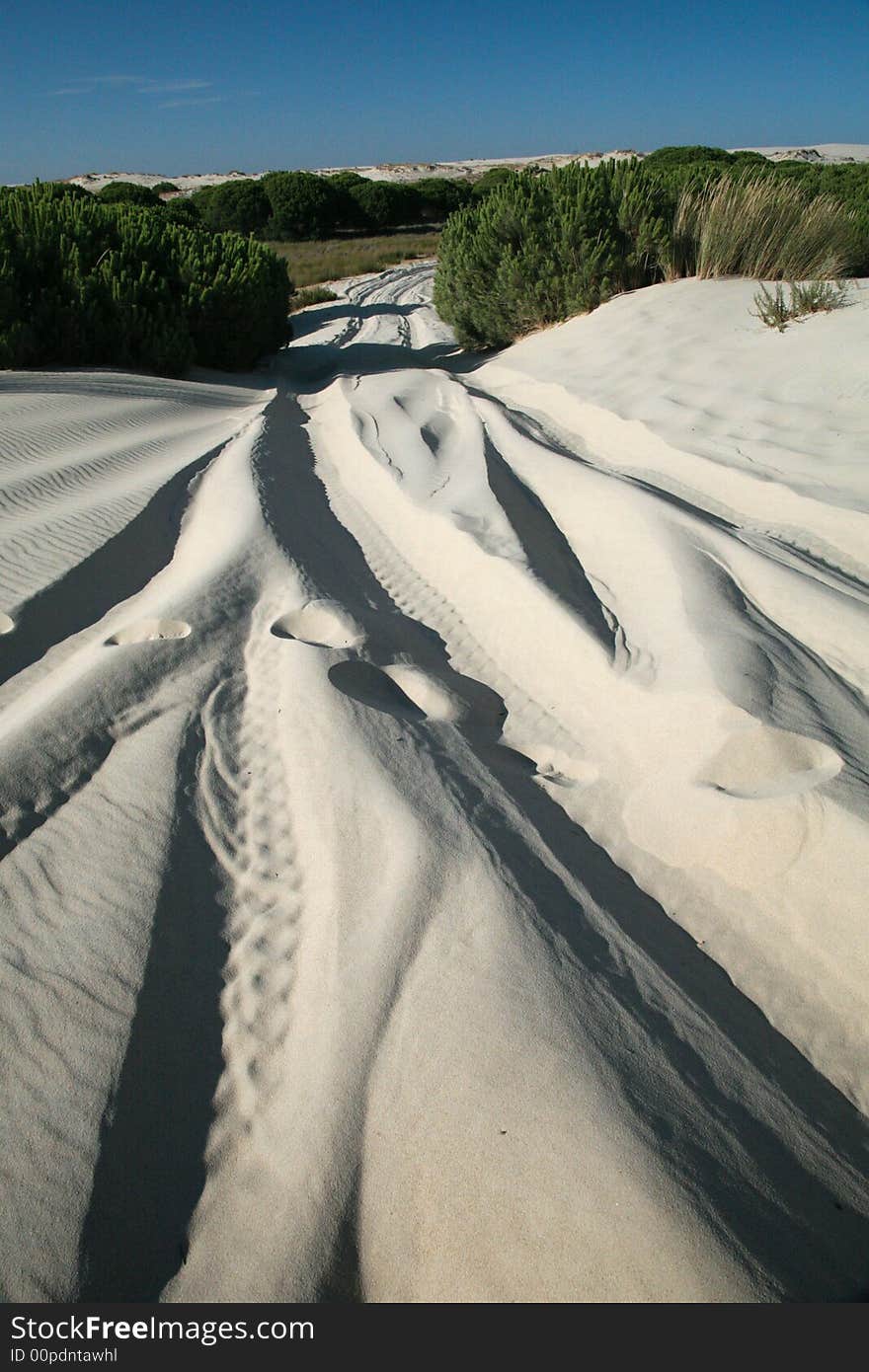 Trace truck on the sand at spanish beach