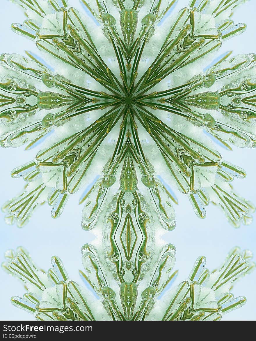 Kaleidoscope cross:  layer of ice on pine needles. Kaleidoscope cross:  layer of ice on pine needles