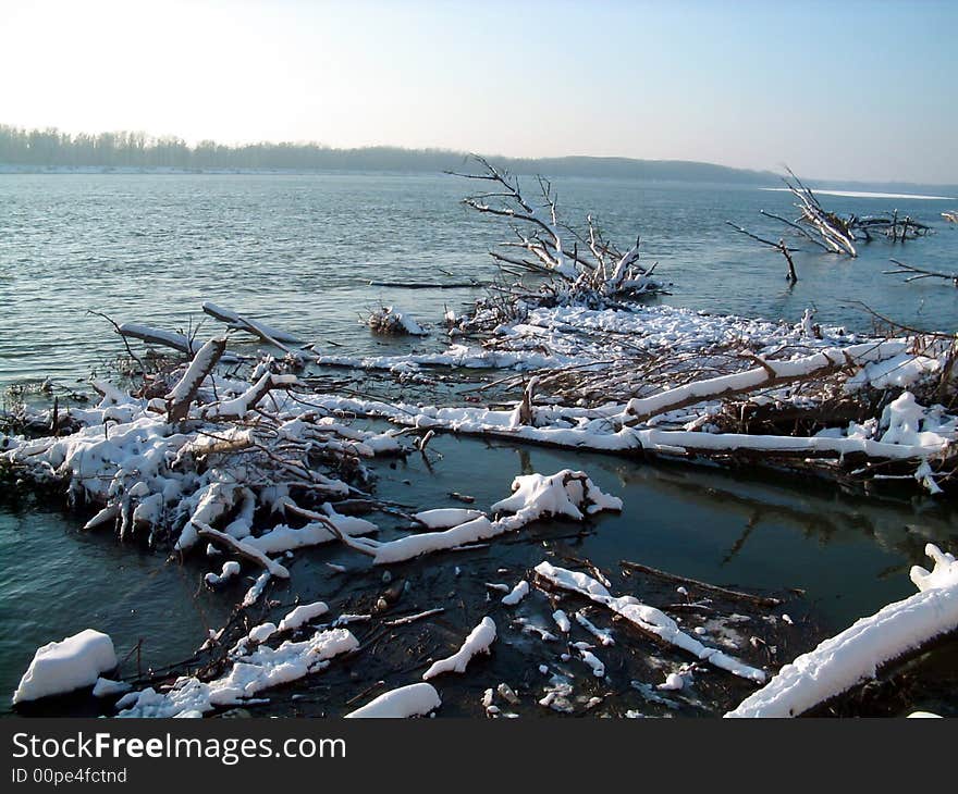 Beautiful winter river landscape,dead trees in water