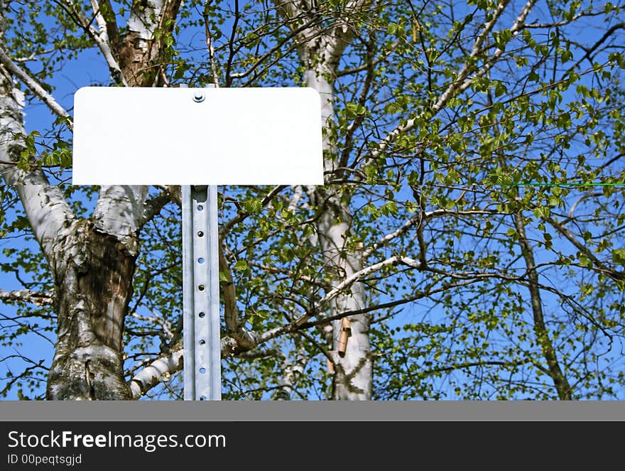 Blank sign with copy space in spring forest. Blank sign with copy space in spring forest.