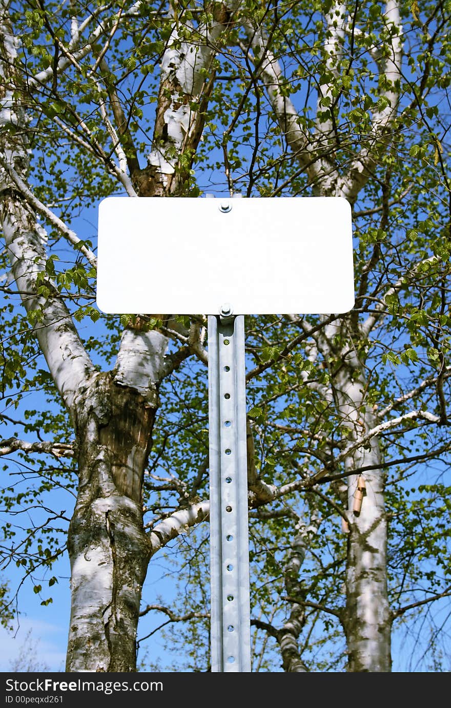 Sign with copy space in spring forest