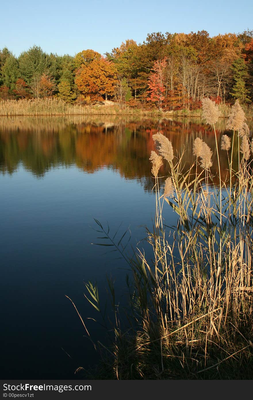 Fall reflection in a clam blue lake. Fall reflection in a clam blue lake