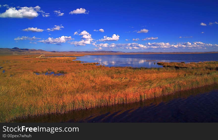 Flower lake