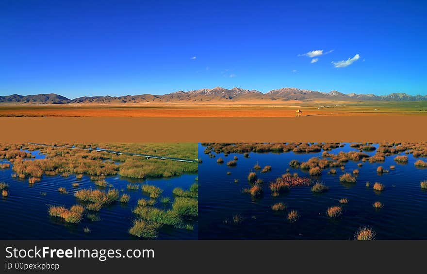 Flower Lake