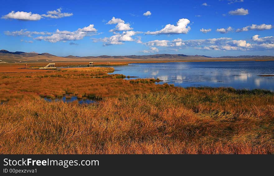 Flower Lake