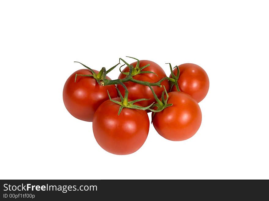 Fresh Tomatoes