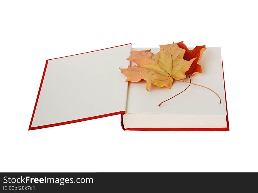 Book And Autumn Decoration