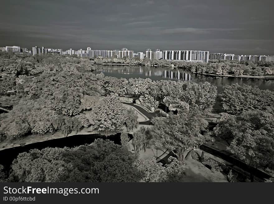 Infrared photo – tree, landscapes and apartment