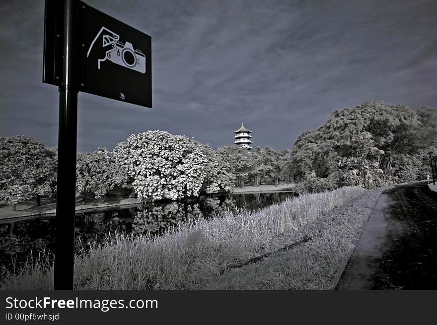 Infrared photo – tree, pagoda and sign board