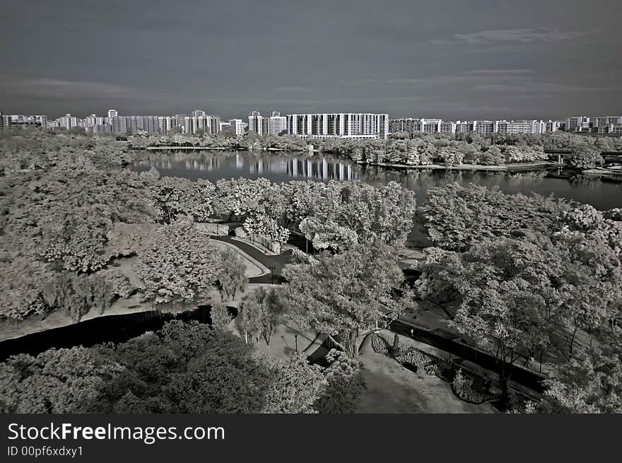 Infrared photo – tree, landscapes and apartment