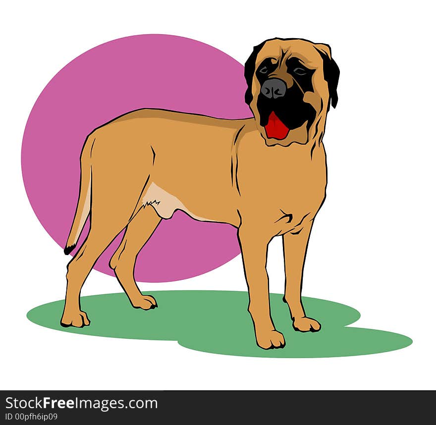 Mastiff dog