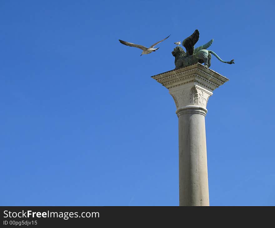 A Venetian winged lyon wants to fly as following a seagull flight on the blue venetian sky